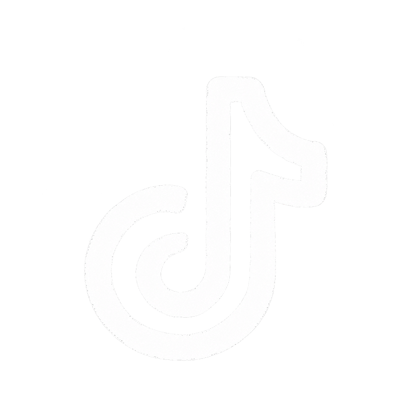 TikTok Icon